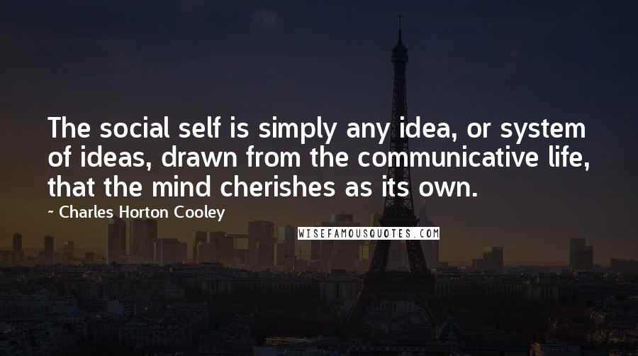 Charles Horton Cooley Quotes: The social self is simply any idea, or system of ideas, drawn from the communicative life, that the mind cherishes as its own.