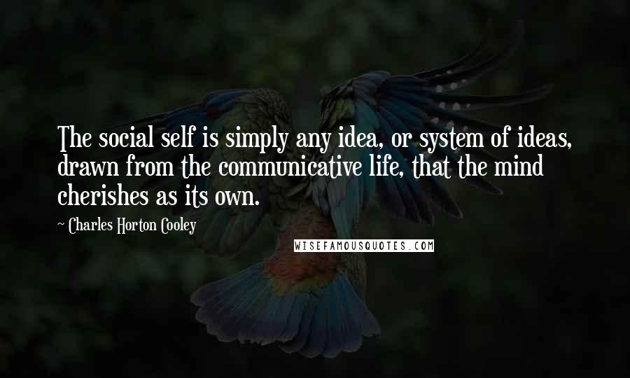 Charles Horton Cooley Quotes: The social self is simply any idea, or system of ideas, drawn from the communicative life, that the mind cherishes as its own.