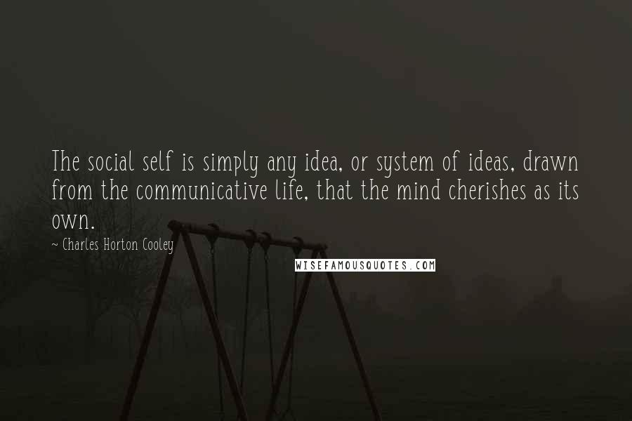 Charles Horton Cooley Quotes: The social self is simply any idea, or system of ideas, drawn from the communicative life, that the mind cherishes as its own.