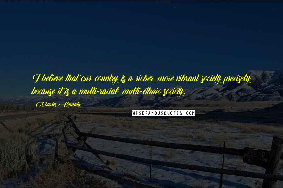 Charles Kennedy Quotes: I believe that our country is a richer, more vibrant society precisely because it is a multi-racial, multi-ethnic society.