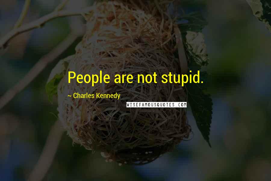 Charles Kennedy Quotes: People are not stupid.