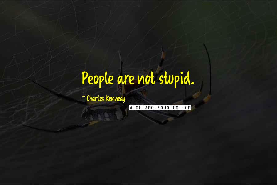 Charles Kennedy Quotes: People are not stupid.