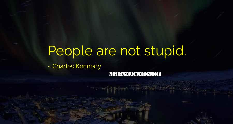 Charles Kennedy Quotes: People are not stupid.