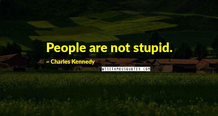 Charles Kennedy Quotes: People are not stupid.