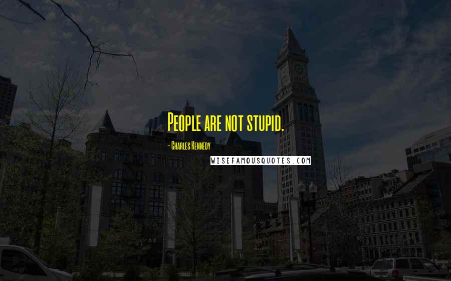 Charles Kennedy Quotes: People are not stupid.