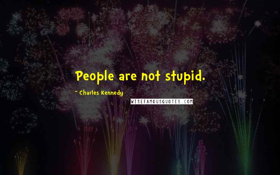 Charles Kennedy Quotes: People are not stupid.