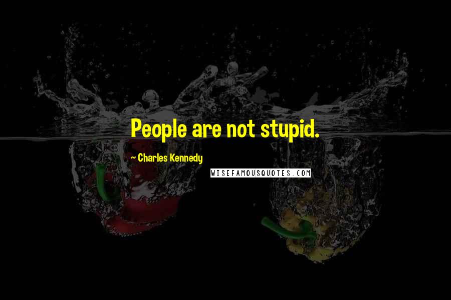 Charles Kennedy Quotes: People are not stupid.