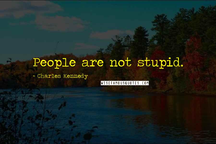 Charles Kennedy Quotes: People are not stupid.