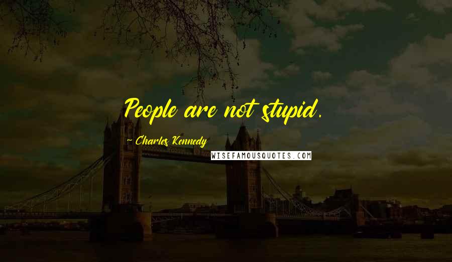 Charles Kennedy Quotes: People are not stupid.