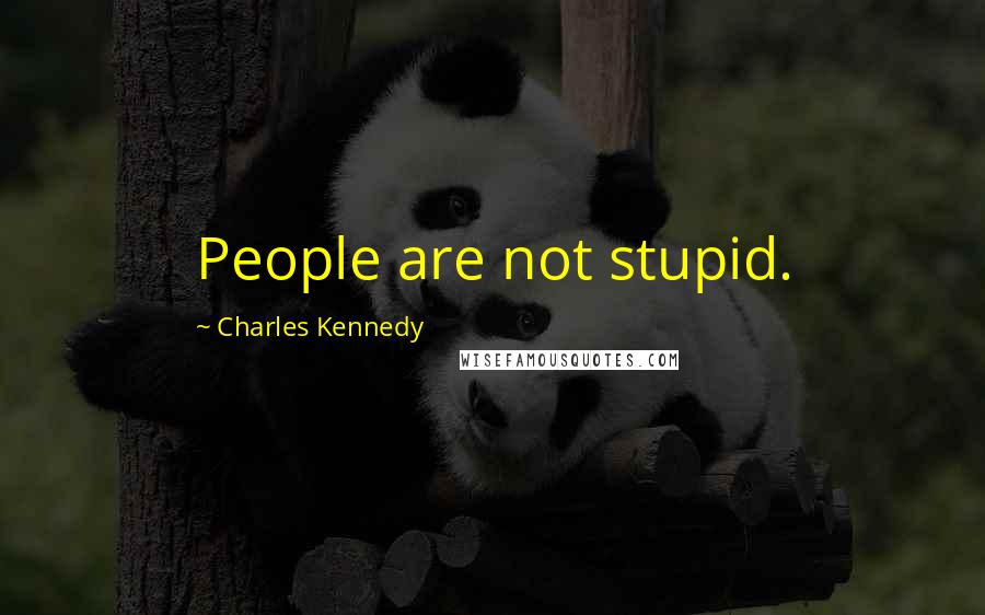 Charles Kennedy Quotes: People are not stupid.