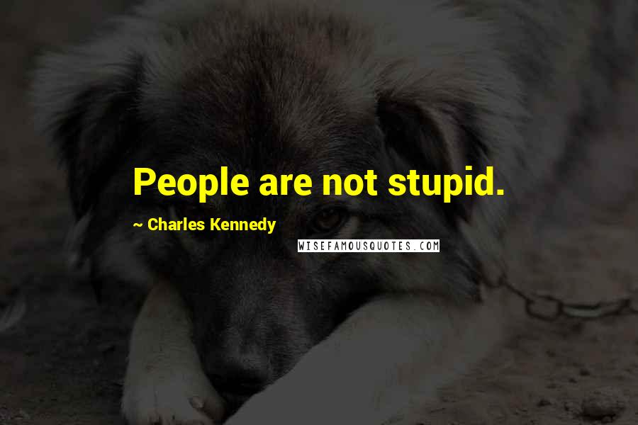 Charles Kennedy Quotes: People are not stupid.