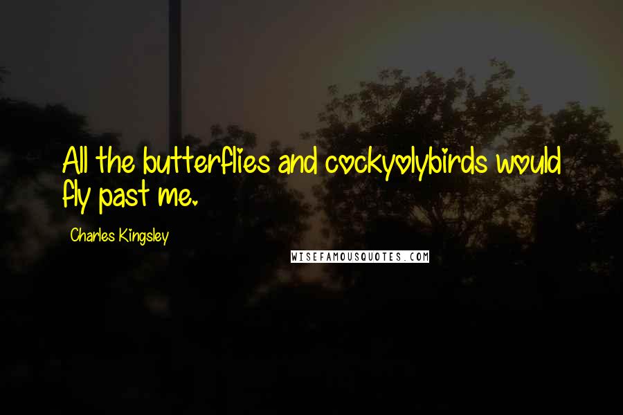 Charles Kingsley Quotes: All the butterflies and cockyolybirds would fly past me.