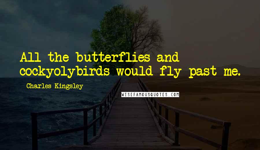 Charles Kingsley Quotes: All the butterflies and cockyolybirds would fly past me.