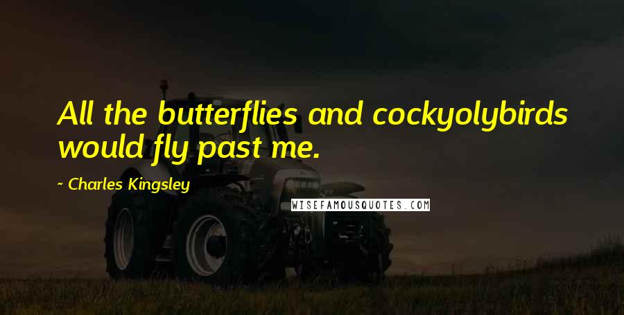 Charles Kingsley Quotes: All the butterflies and cockyolybirds would fly past me.