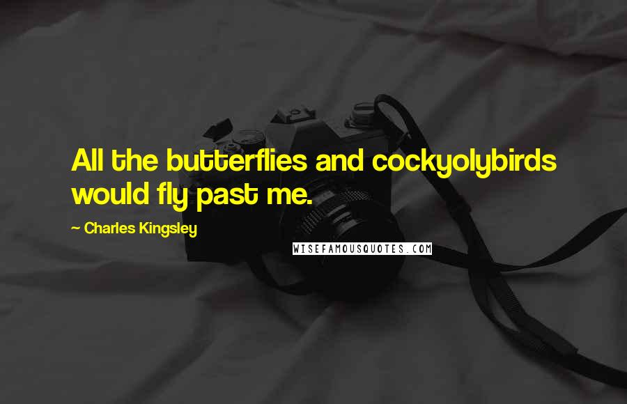 Charles Kingsley Quotes: All the butterflies and cockyolybirds would fly past me.