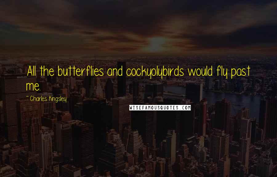 Charles Kingsley Quotes: All the butterflies and cockyolybirds would fly past me.