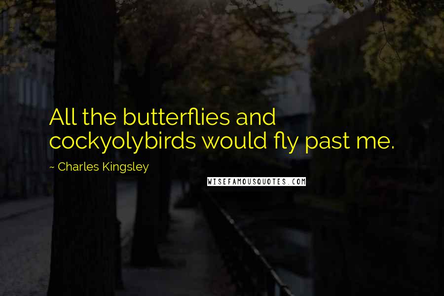 Charles Kingsley Quotes: All the butterflies and cockyolybirds would fly past me.