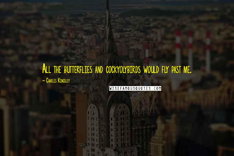Charles Kingsley Quotes: All the butterflies and cockyolybirds would fly past me.