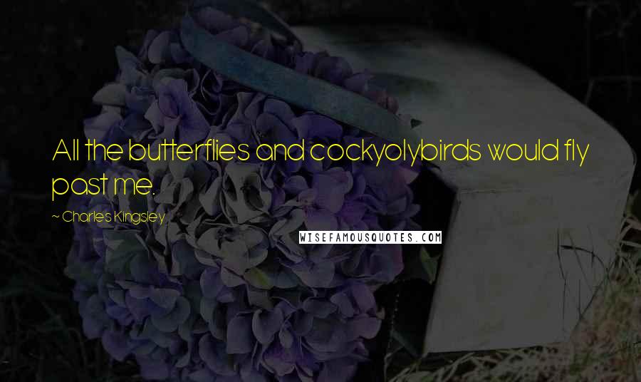 Charles Kingsley Quotes: All the butterflies and cockyolybirds would fly past me.