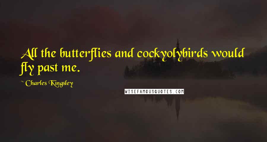 Charles Kingsley Quotes: All the butterflies and cockyolybirds would fly past me.