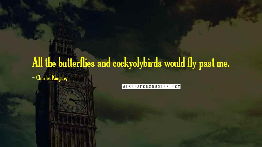Charles Kingsley Quotes: All the butterflies and cockyolybirds would fly past me.