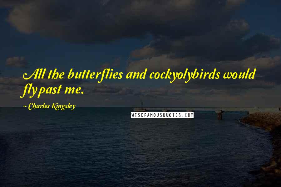 Charles Kingsley Quotes: All the butterflies and cockyolybirds would fly past me.