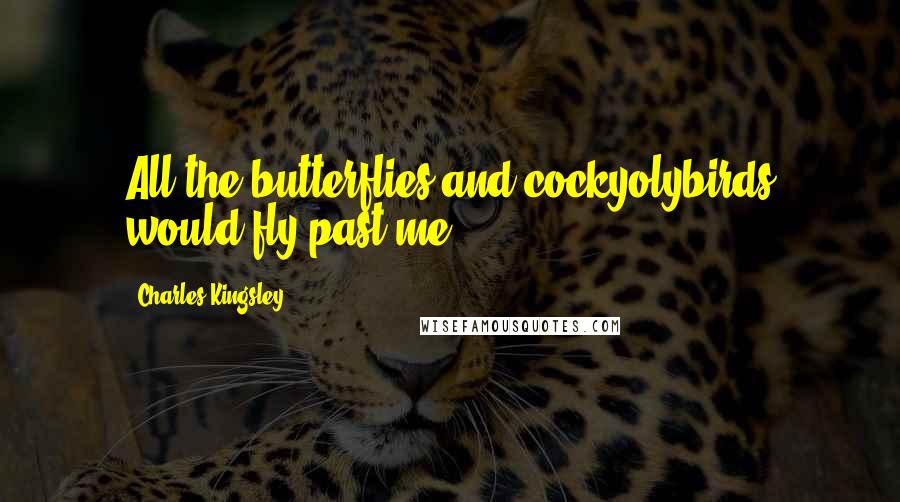 Charles Kingsley Quotes: All the butterflies and cockyolybirds would fly past me.