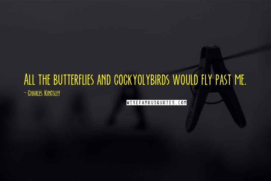 Charles Kingsley Quotes: All the butterflies and cockyolybirds would fly past me.