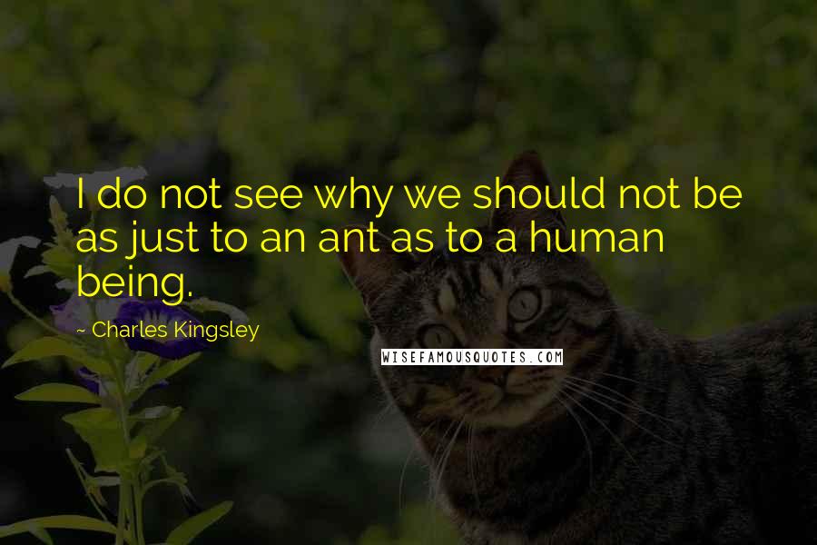 Charles Kingsley Quotes: I do not see why we should not be as just to an ant as to a human being.