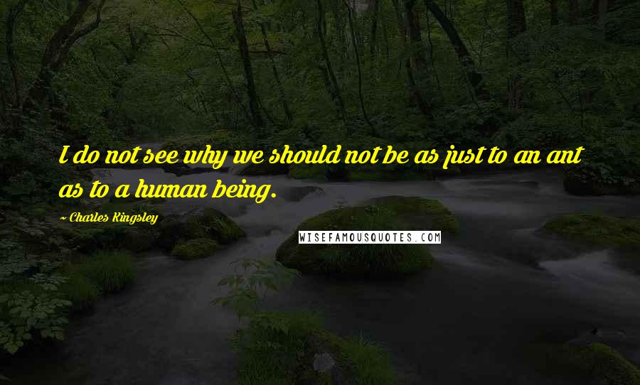 Charles Kingsley Quotes: I do not see why we should not be as just to an ant as to a human being.