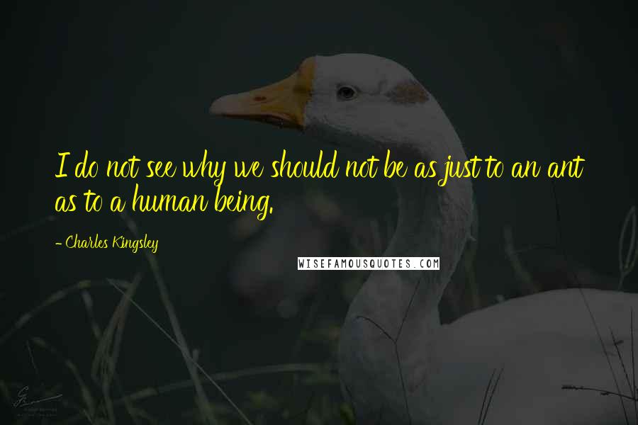 Charles Kingsley Quotes: I do not see why we should not be as just to an ant as to a human being.