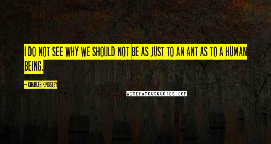 Charles Kingsley Quotes: I do not see why we should not be as just to an ant as to a human being.