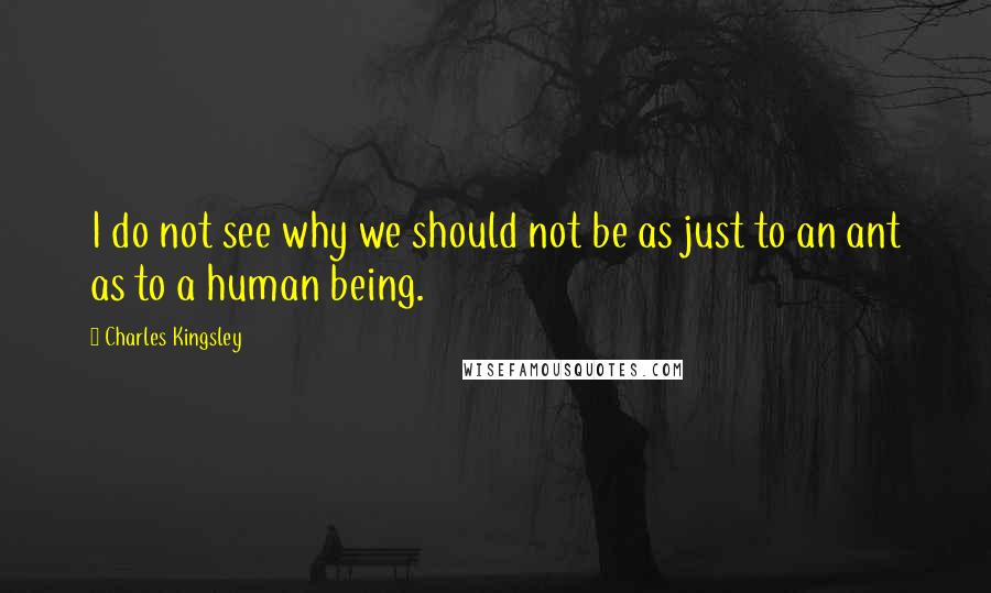 Charles Kingsley Quotes: I do not see why we should not be as just to an ant as to a human being.