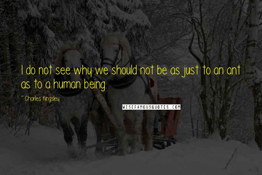 Charles Kingsley Quotes: I do not see why we should not be as just to an ant as to a human being.