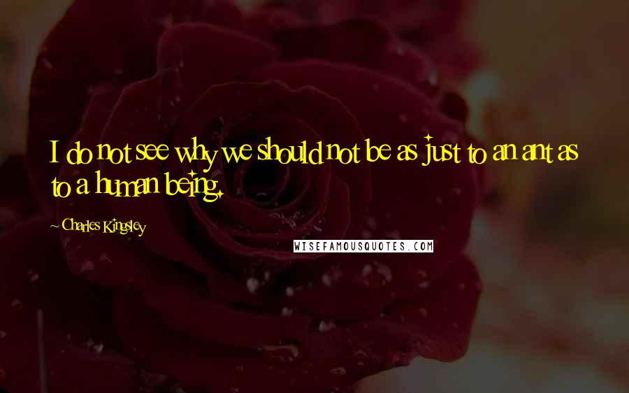 Charles Kingsley Quotes: I do not see why we should not be as just to an ant as to a human being.