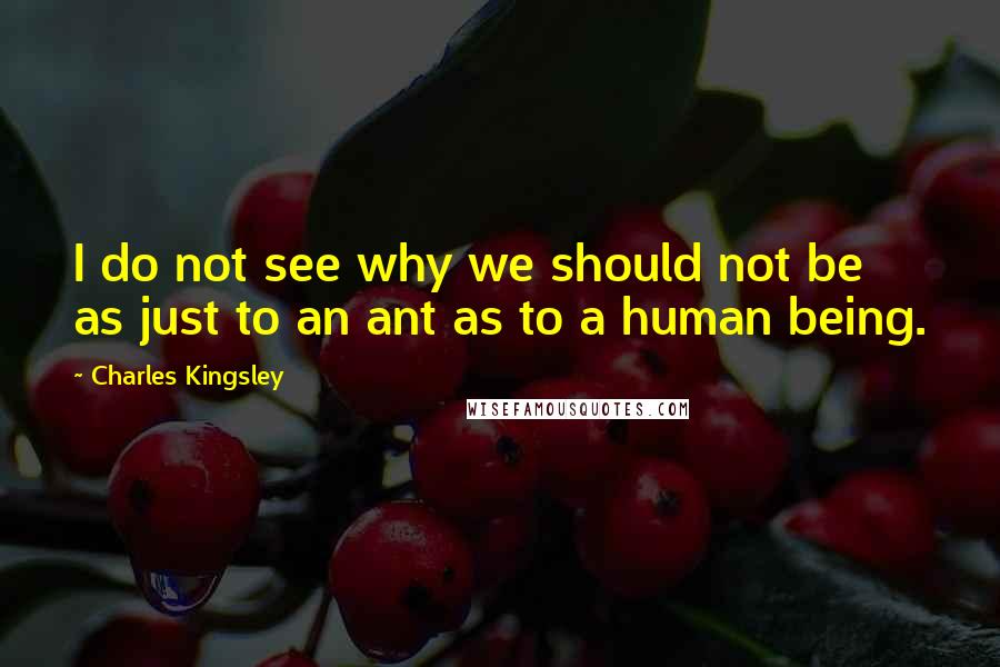 Charles Kingsley Quotes: I do not see why we should not be as just to an ant as to a human being.