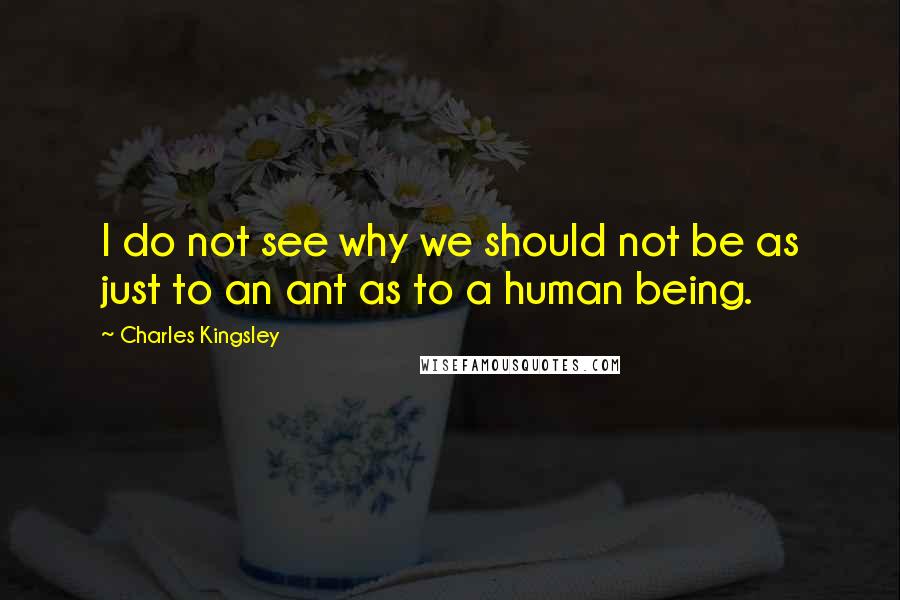 Charles Kingsley Quotes: I do not see why we should not be as just to an ant as to a human being.