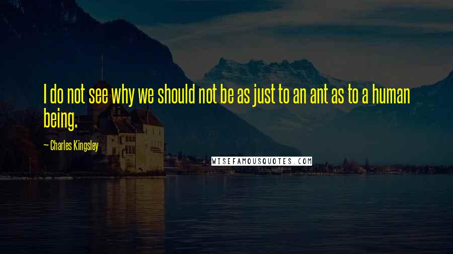 Charles Kingsley Quotes: I do not see why we should not be as just to an ant as to a human being.