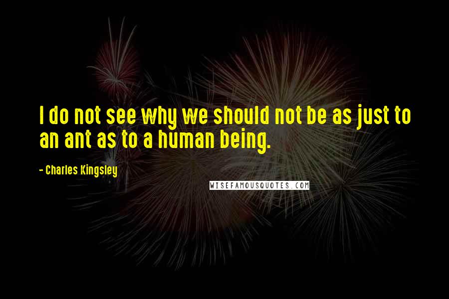 Charles Kingsley Quotes: I do not see why we should not be as just to an ant as to a human being.