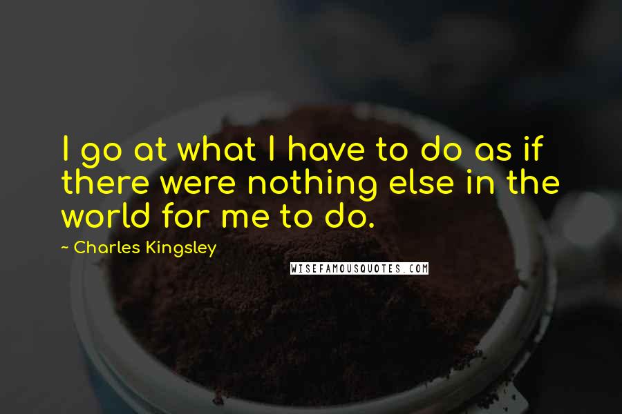 Charles Kingsley Quotes: I go at what I have to do as if there were nothing else in the world for me to do.