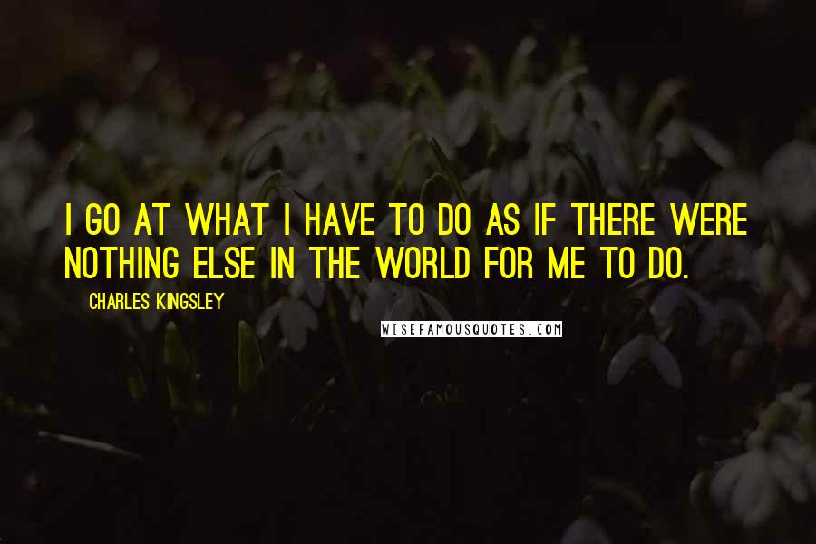 Charles Kingsley Quotes: I go at what I have to do as if there were nothing else in the world for me to do.