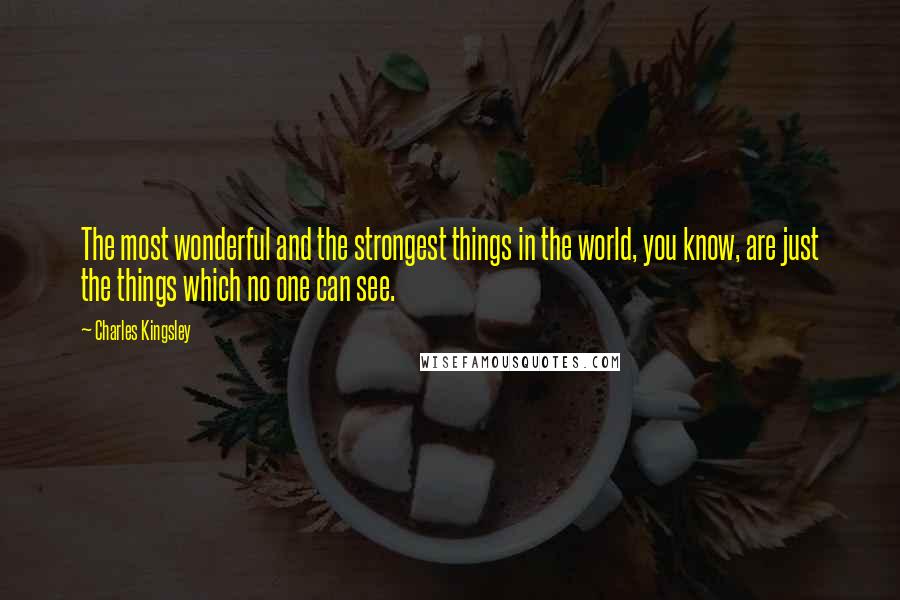 Charles Kingsley Quotes: The most wonderful and the strongest things in the world, you know, are just the things which no one can see.