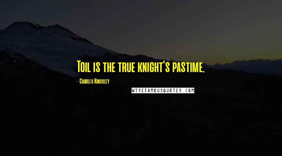 Charles Kingsley Quotes: Toil is the true knight's pastime.