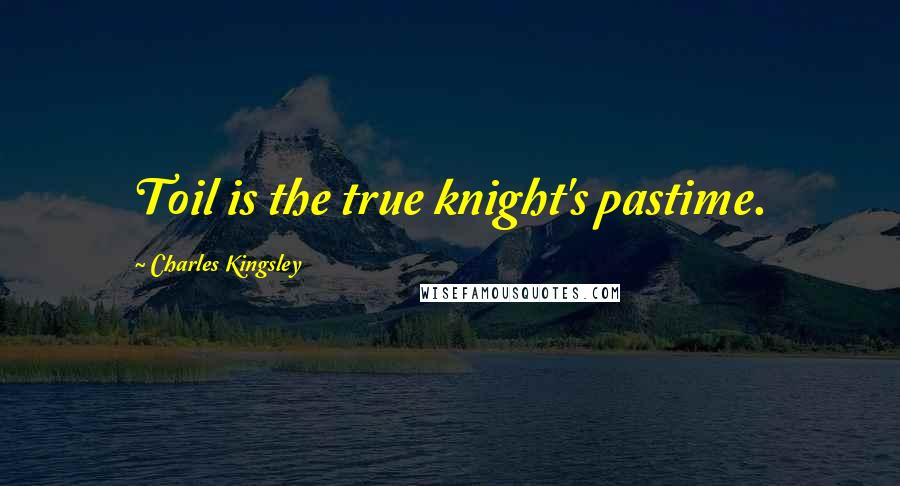 Charles Kingsley Quotes: Toil is the true knight's pastime.