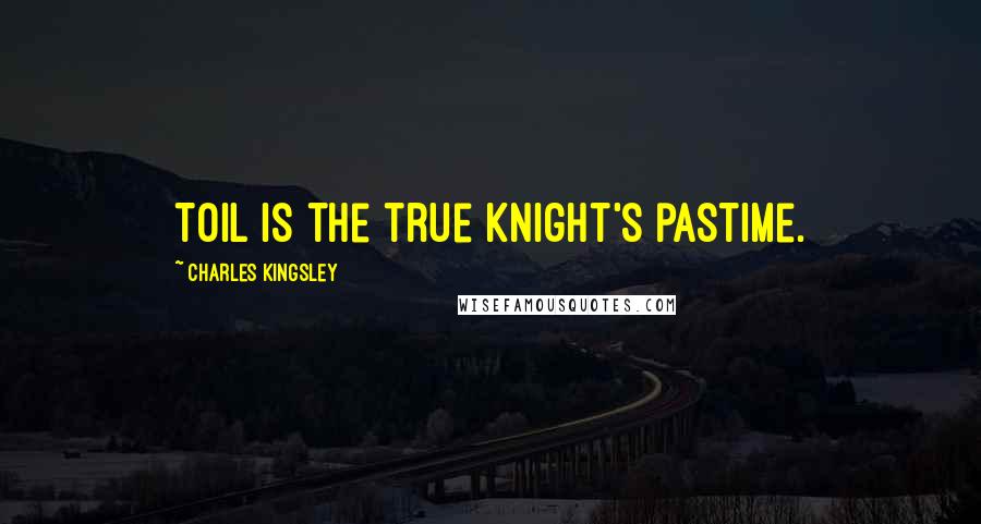 Charles Kingsley Quotes: Toil is the true knight's pastime.