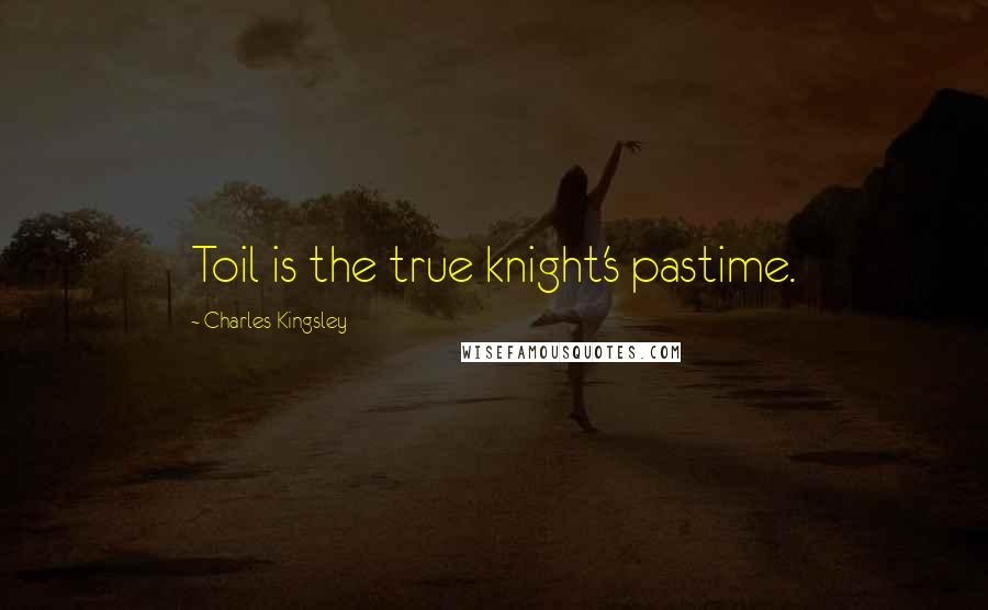 Charles Kingsley Quotes: Toil is the true knight's pastime.