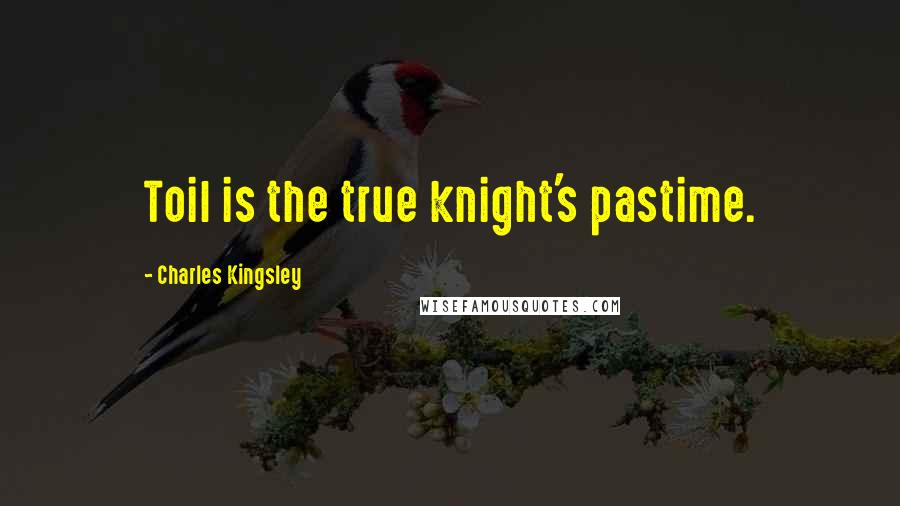 Charles Kingsley Quotes: Toil is the true knight's pastime.