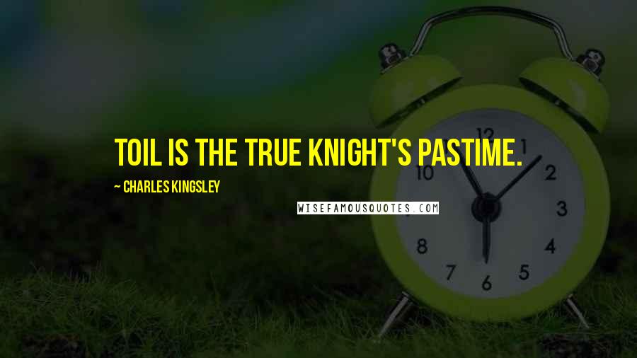 Charles Kingsley Quotes: Toil is the true knight's pastime.