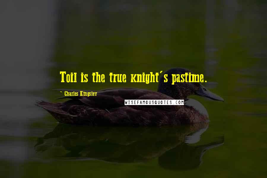 Charles Kingsley Quotes: Toil is the true knight's pastime.