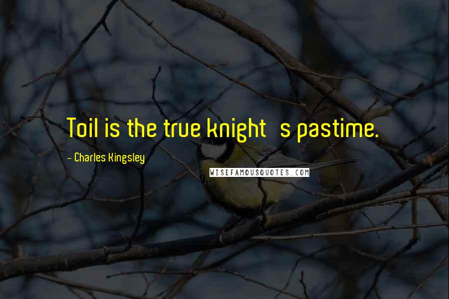 Charles Kingsley Quotes: Toil is the true knight's pastime.